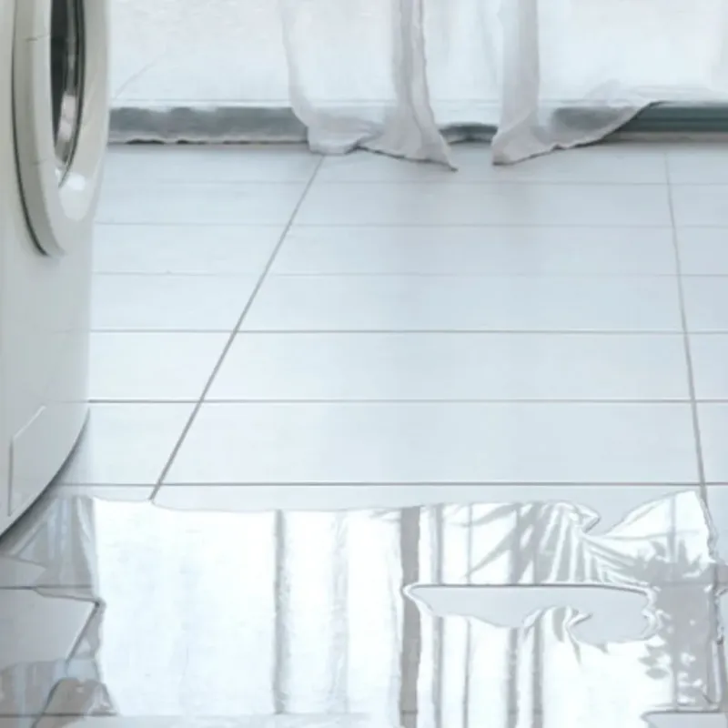 Appliance Leak Cleanup in Barrow, AK