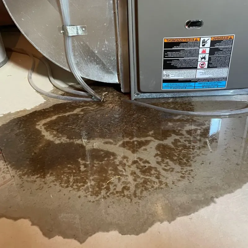 Pipe Burst and Leak Restoration in Barrow, AK